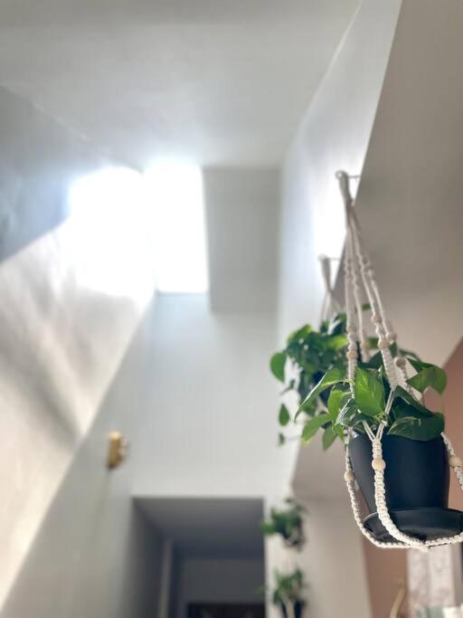 Geodis Park Apartment In Weho ناشفيل المظهر الخارجي الصورة